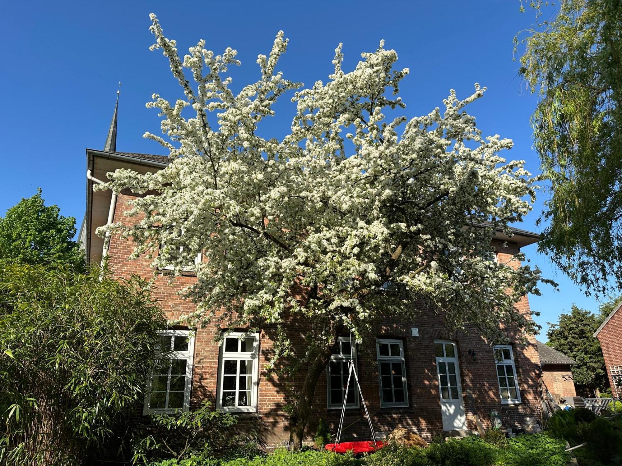 Bed and Breakfast Altes Pastorat Barmstedt Exteriér fotografie